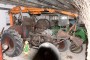 Thumbs/tn_Traktorenmuseum Eggewald 018.jpg